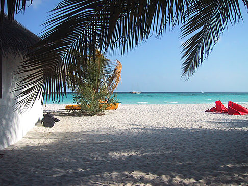 Der weiße Sandstrand der Malediven Foto 